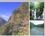 徳島県、県有林クレジット